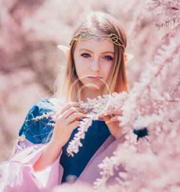 Sakura-Con